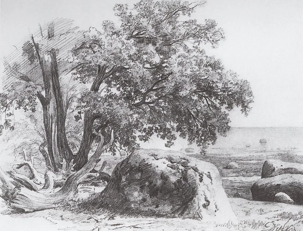 Shishkin