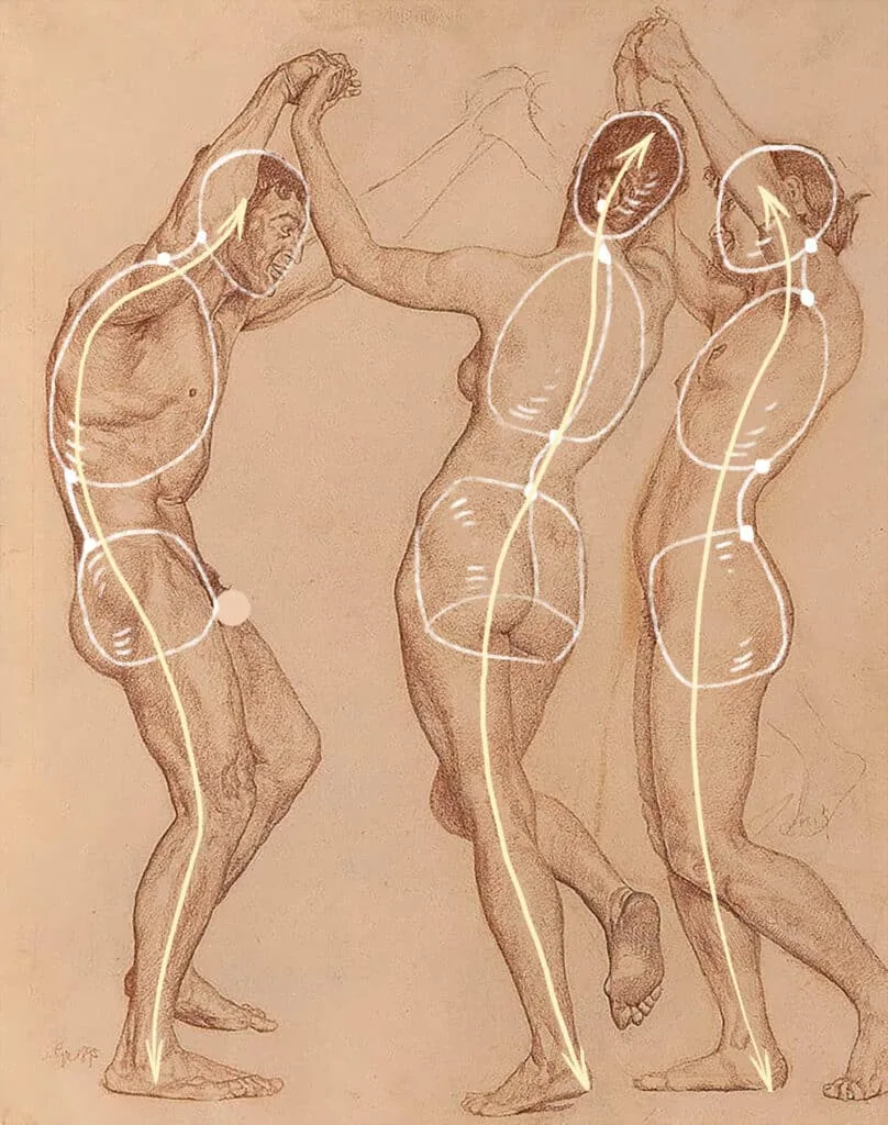 Axes of the human body in anatomy, drawing