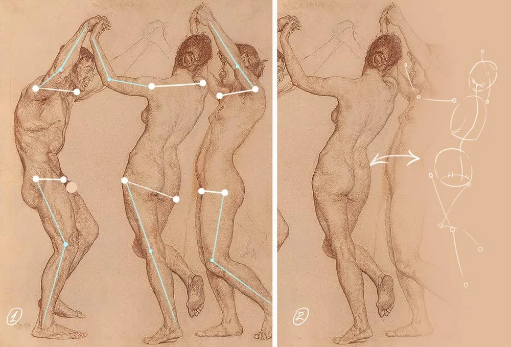Axes of the human body in anatomy, drawing