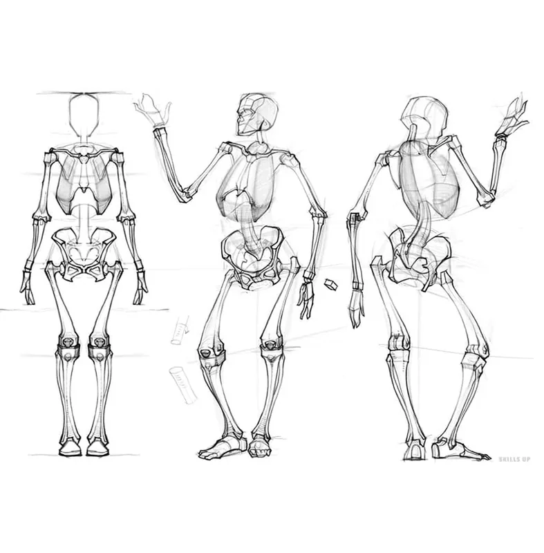 How to learn to draw a person