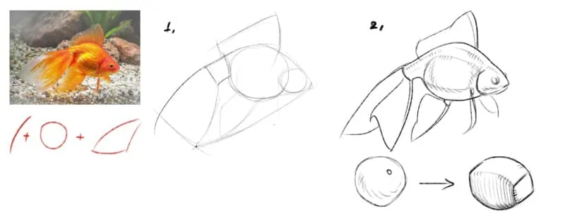 We make a quick sketch using simple shapes and guides
