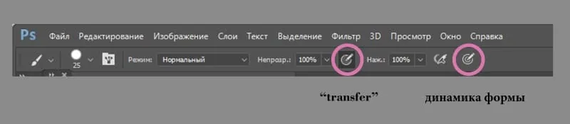Enable shape dynamics for the line and Transfer