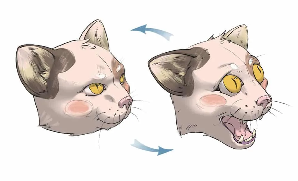 Here are 2 emotions ready!