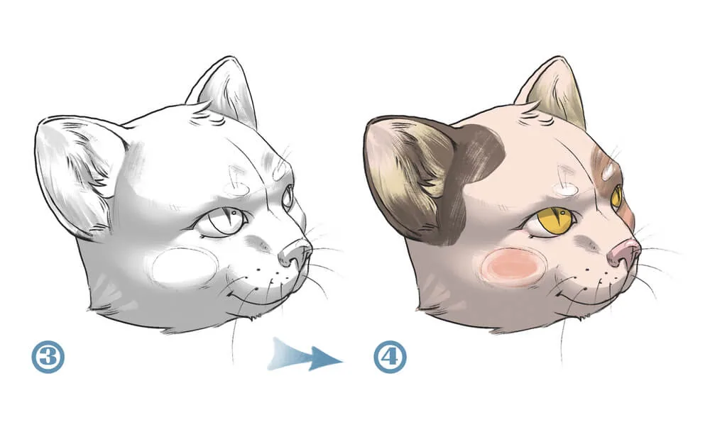 Let's create a new layer and mark the shadow edges of our cat's head with light gray