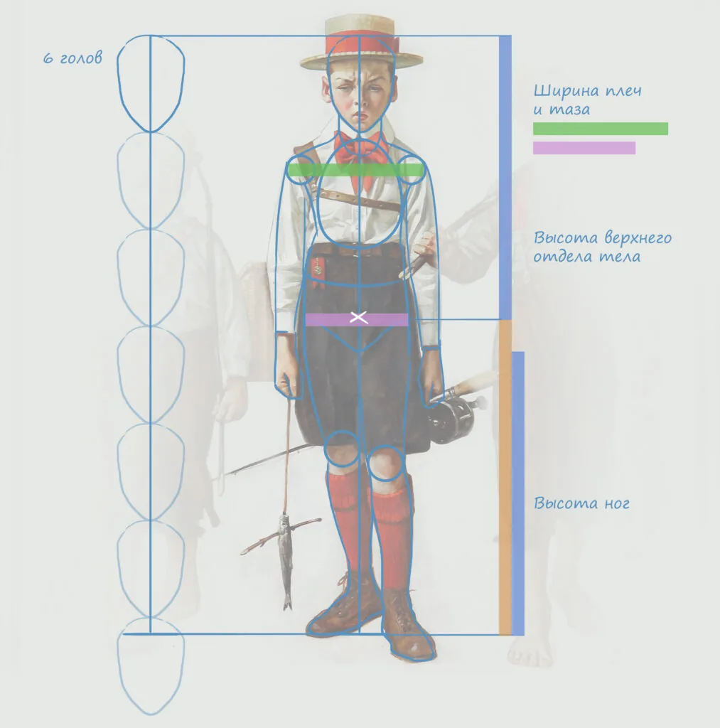 Proportions of a child's figure