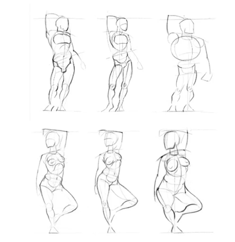 Let's look at the basic rules for drawing a human figure