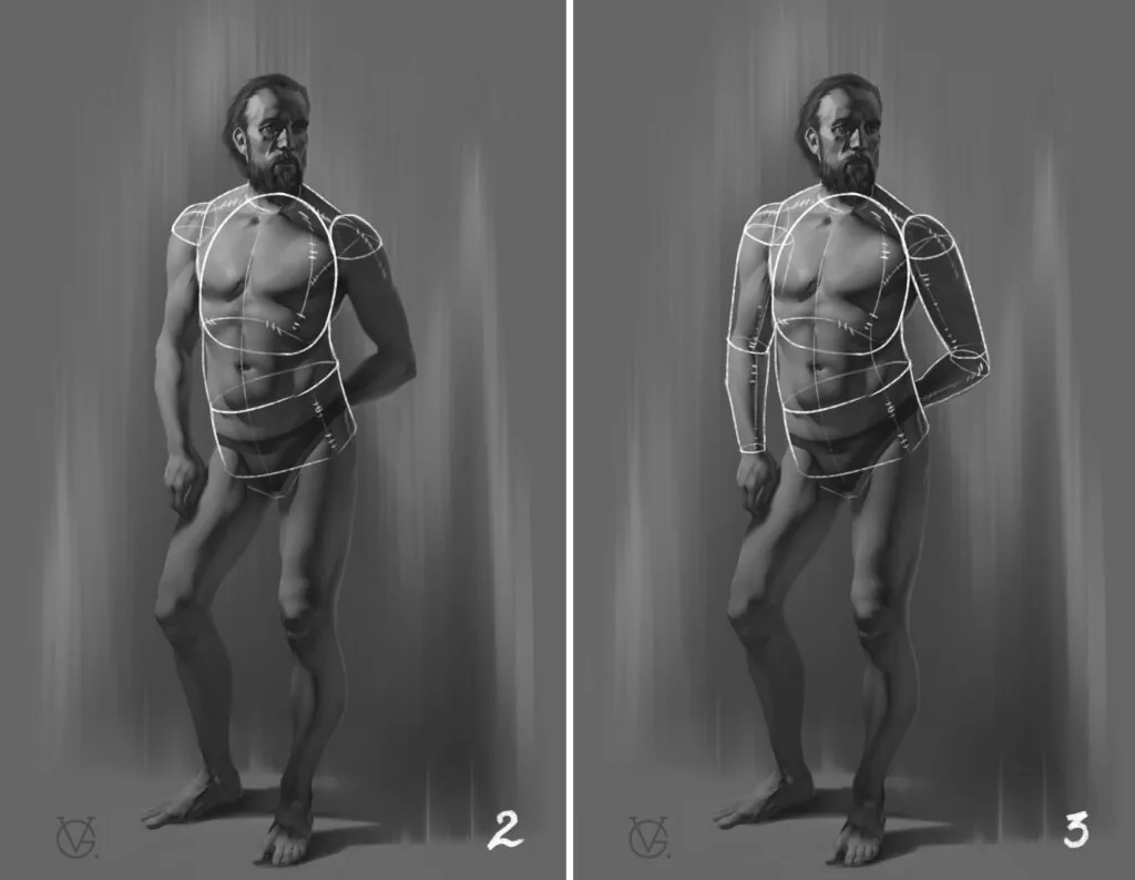 Let's start our analysis with the torso