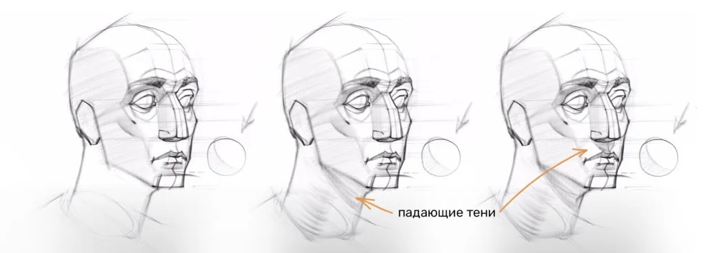 Head drawing stage: applying tone and falling shadows