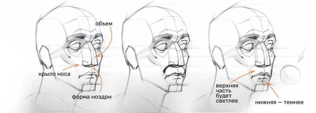 How to draw a mouth and nose on a human head: adding the nose wing and mouth shadows