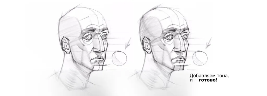Final stage: how to draw a human head with tinting and details