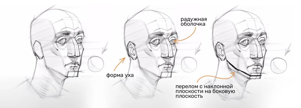 Drawing a human head: specifying the ear and inclined plane