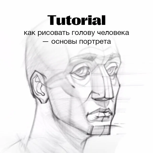 Как нарисовать голову человека