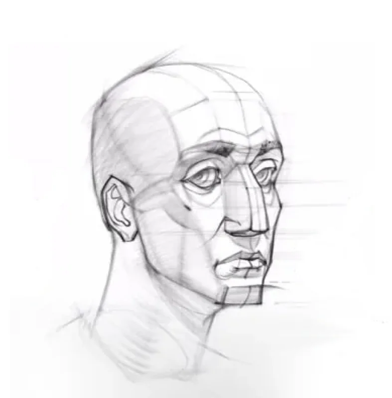 How to draw a human head