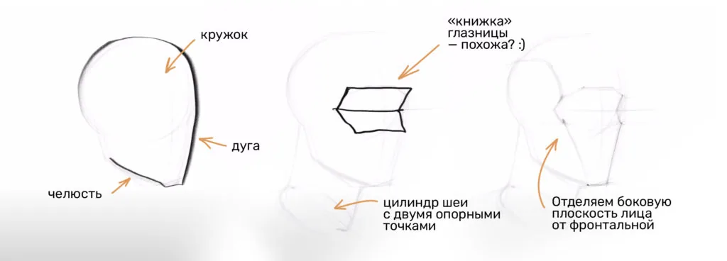 How to draw a human head: the initial stage with a circle, an arc and a neck cylinder
