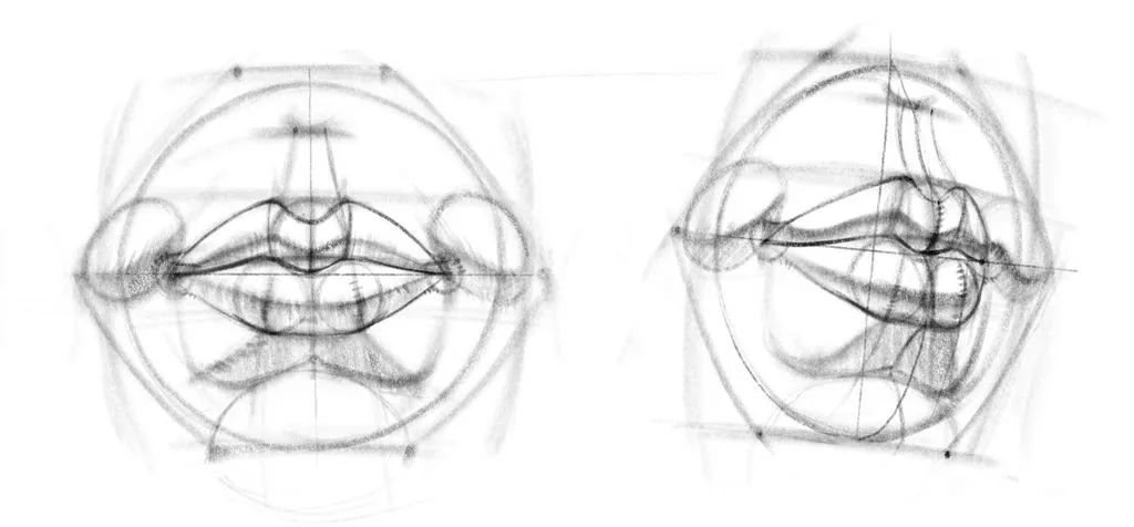 We add a light tone with the side of the pencil lead to the shadow faces with wide strokes