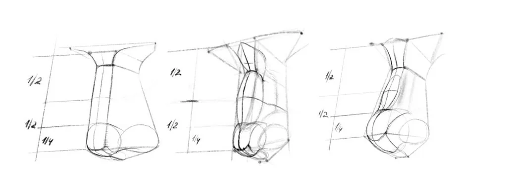Add a line of the vertical axis according to the shape of the nose