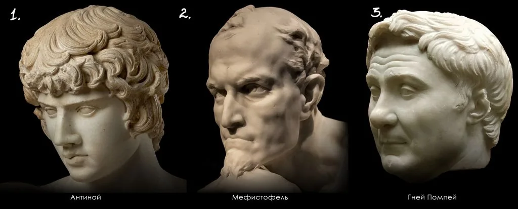 how the nose works and how to draw it
