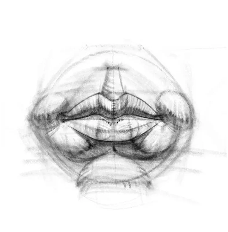 How to draw a human nose