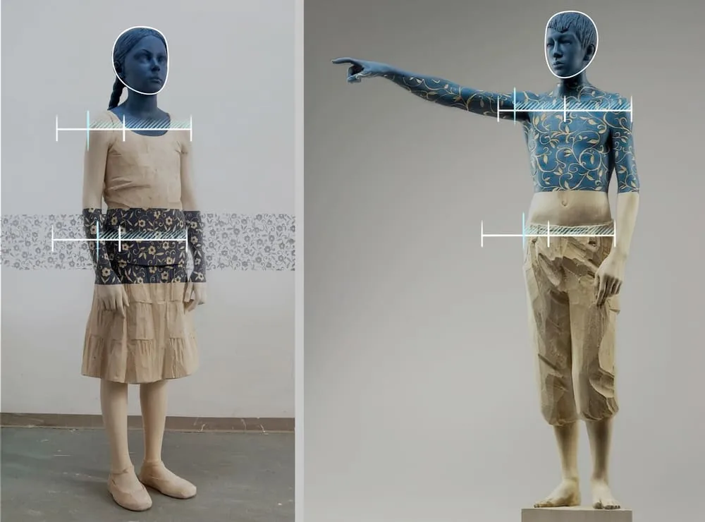 Body proportions