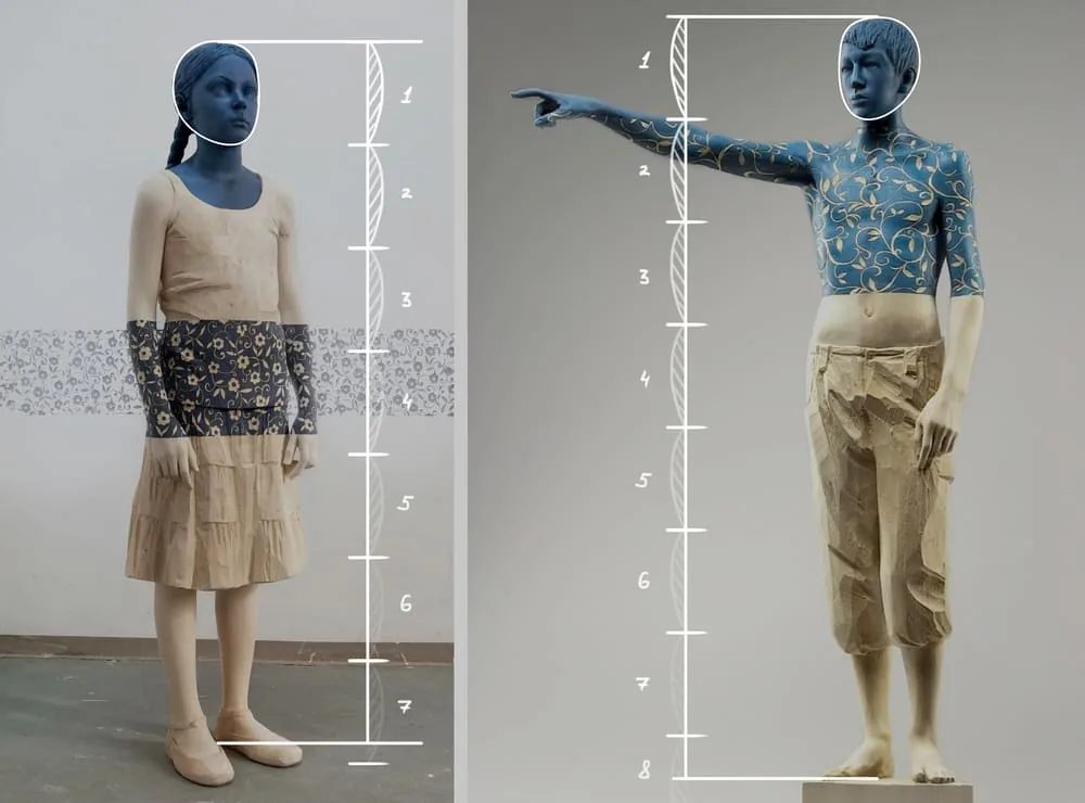 Body proportions