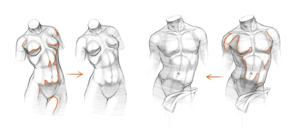 And we make the silhouette line of the torsos even more contrasting