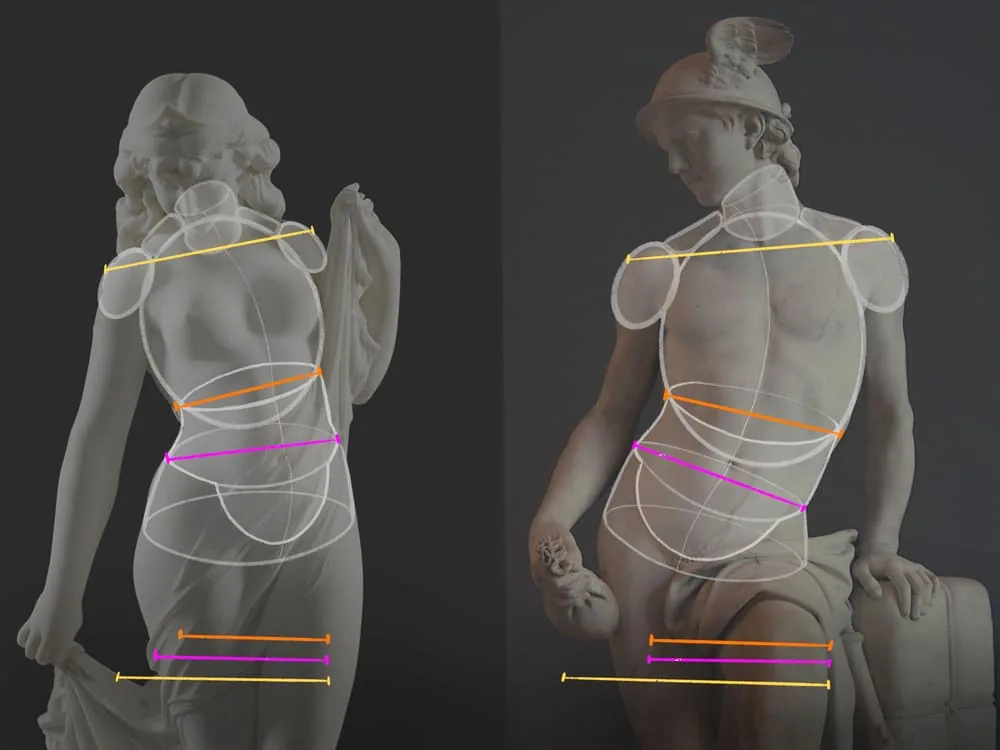 You can measure the torso in this way