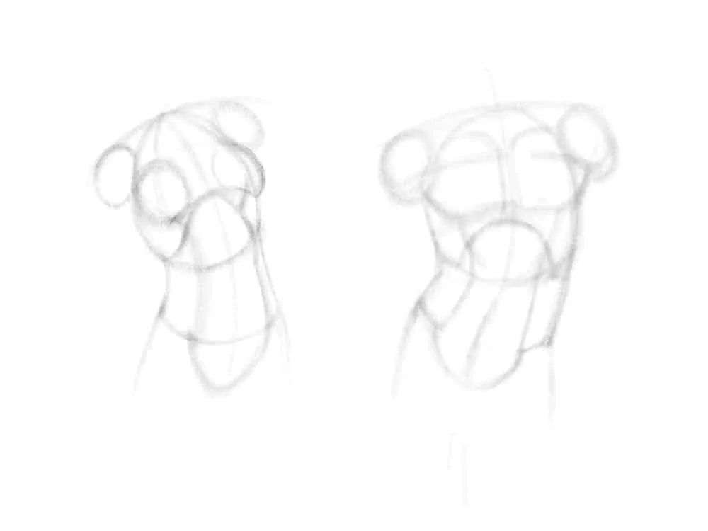 We compare the parameters of the details of our torsos with each other