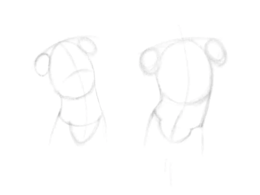 Pipeline for drawing the torsos of a woman and a man