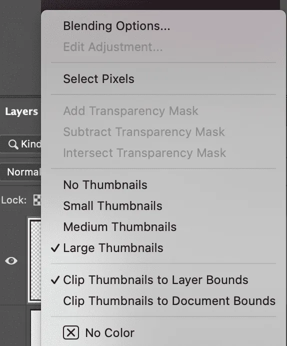 We will see not the whole canvas in the layer icon