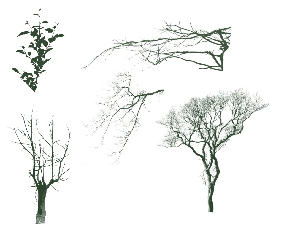 Such brushes resemble the silhouettes