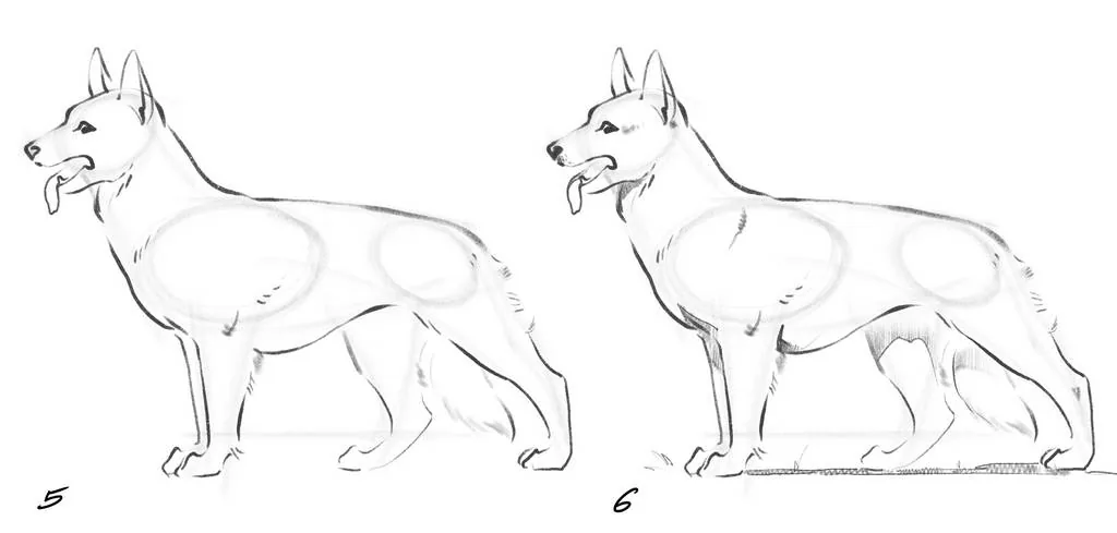 We will complete the sketch with a light hint of volume