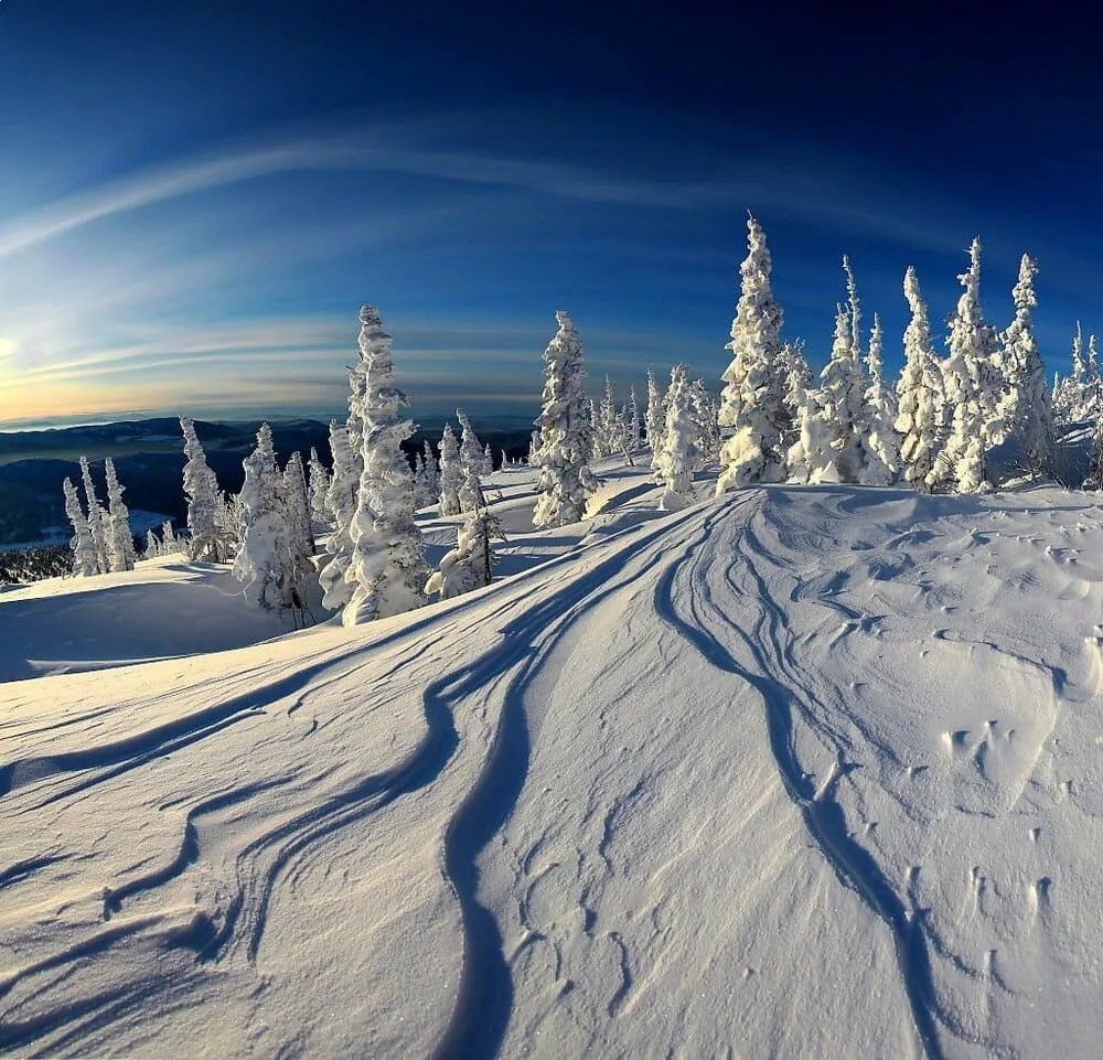 The influence of light on color perception