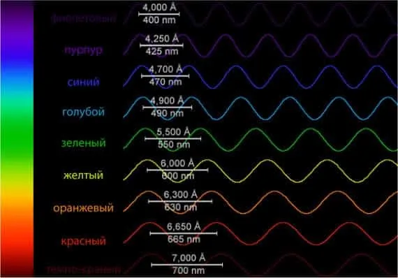 What is light and color