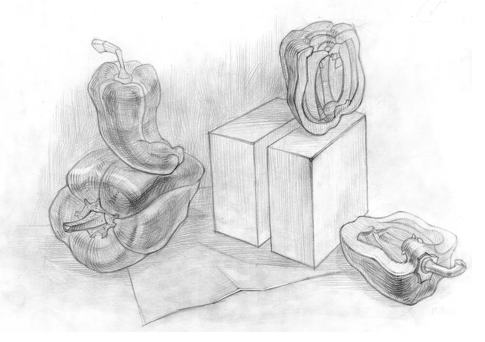 Proportions in drawing