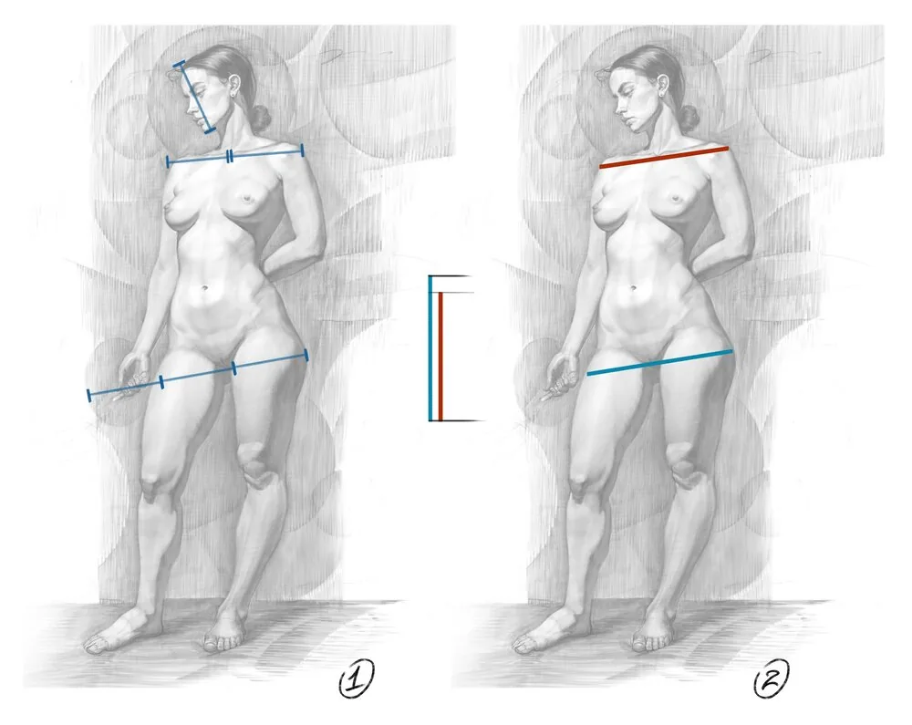 As for our mademoiselle, the shoulders turned out to be narrower than the hips by a slight difference