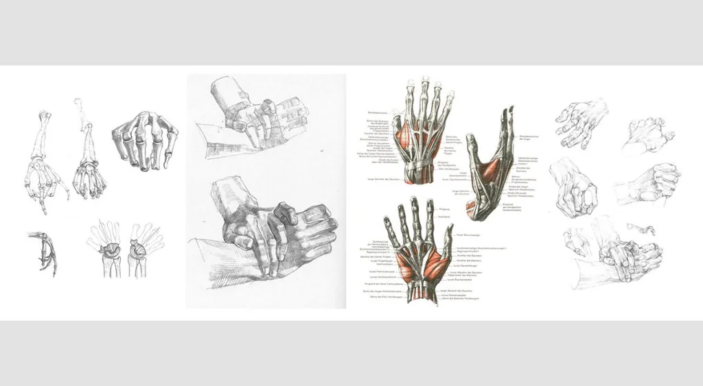 References for the artist: arm references. Part 1 — Structure and Anatomy