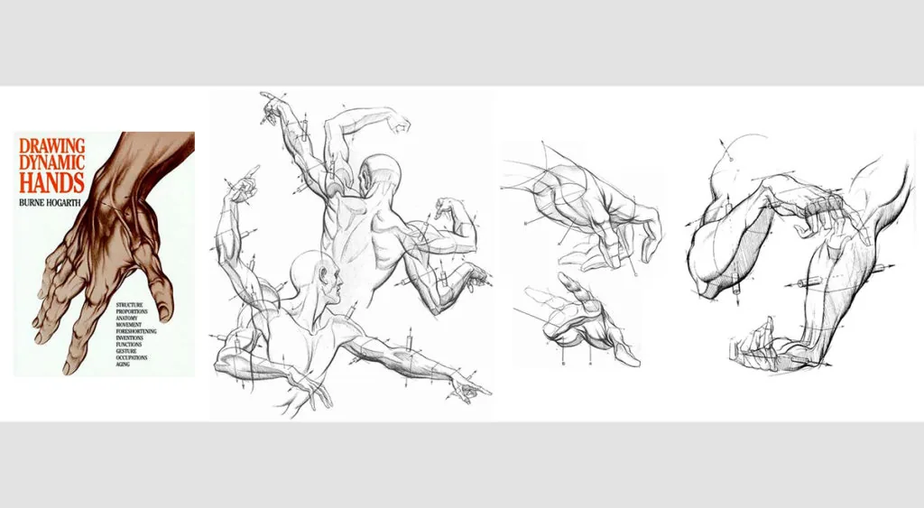 References for the artist: arm references. Part 1 — Plasticity of Forms