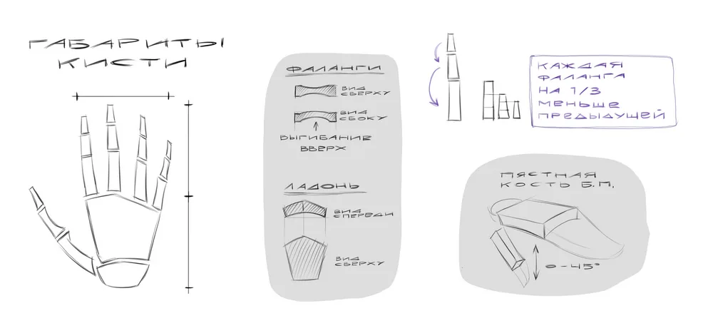 hand diagram