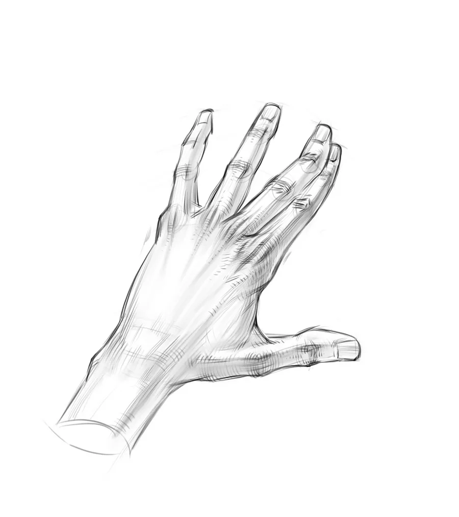 in the drawing, sharp and smoothed outlines of the silhouette alternate