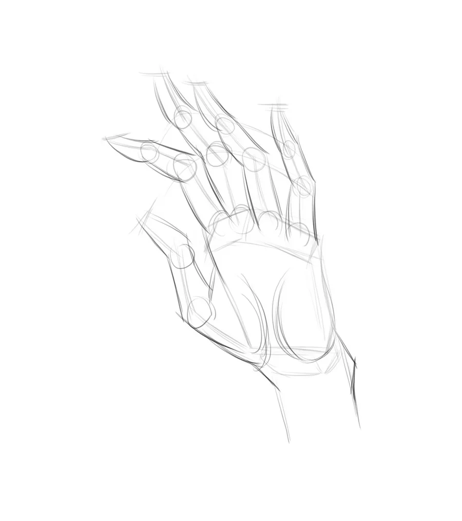 Let's draw the inner side of the palm