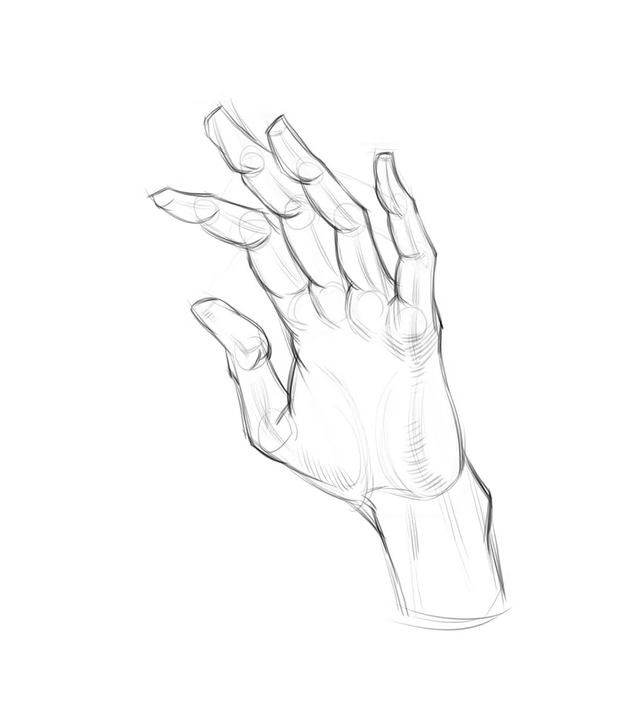 We mark the joints and silhouettes of the fingers