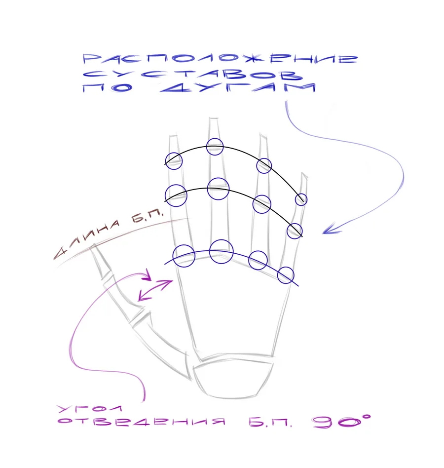 joint diagram