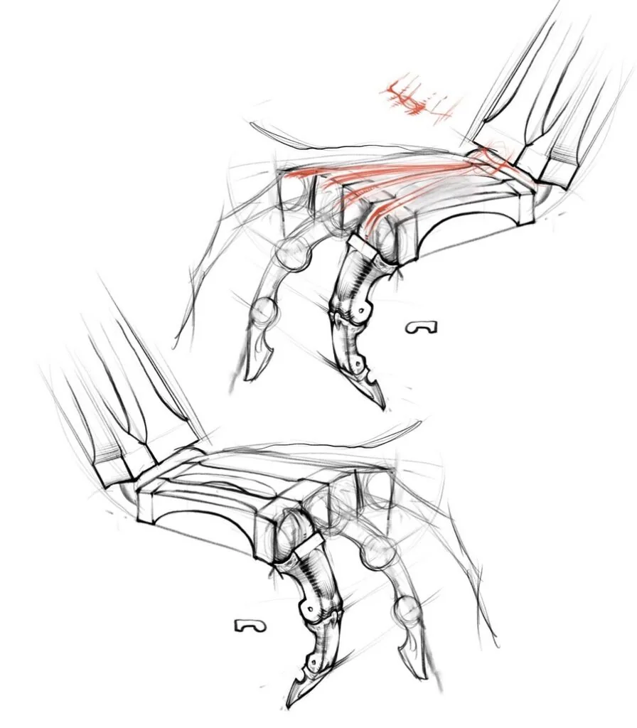Joints and tendons