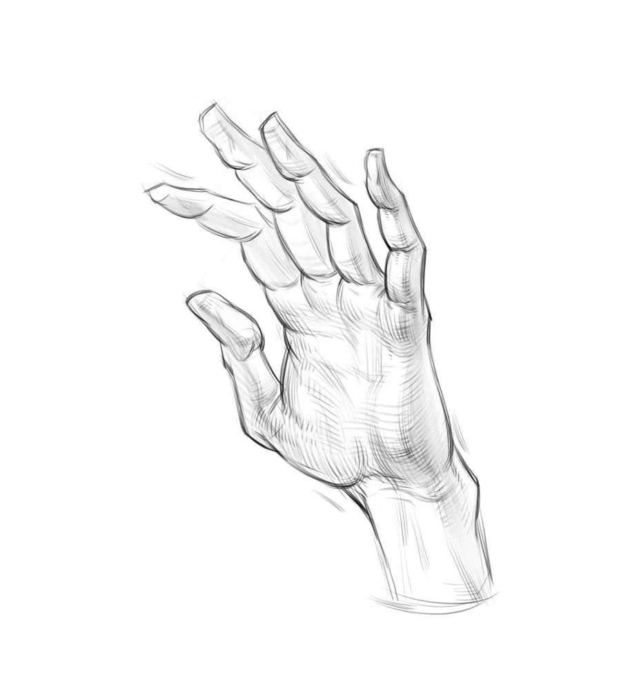 We clarify the silhouette of the fingers and palm