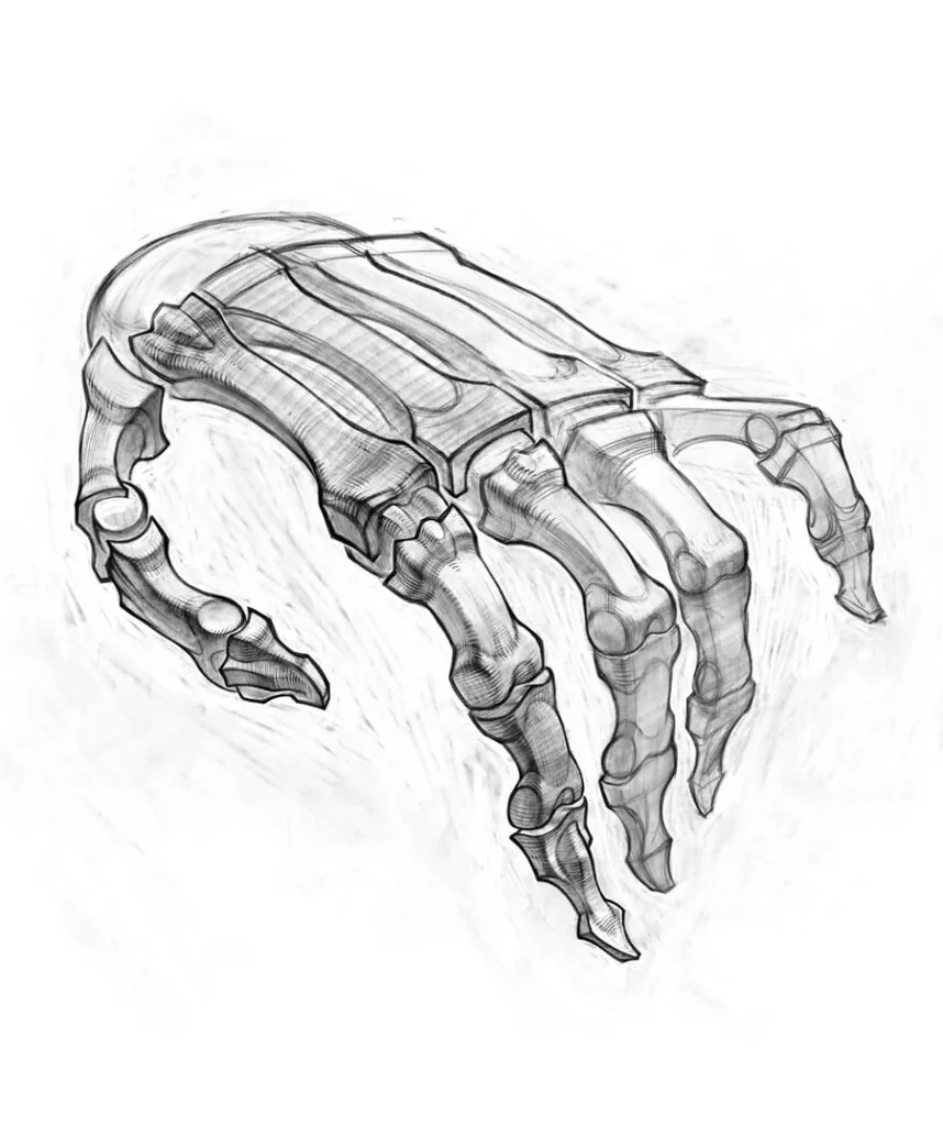 the process of drawing a bony hand of a person