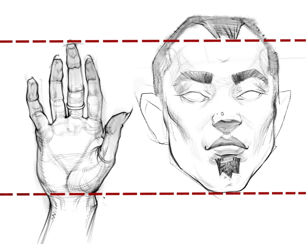 Пропорции кисти относительно лица человека
