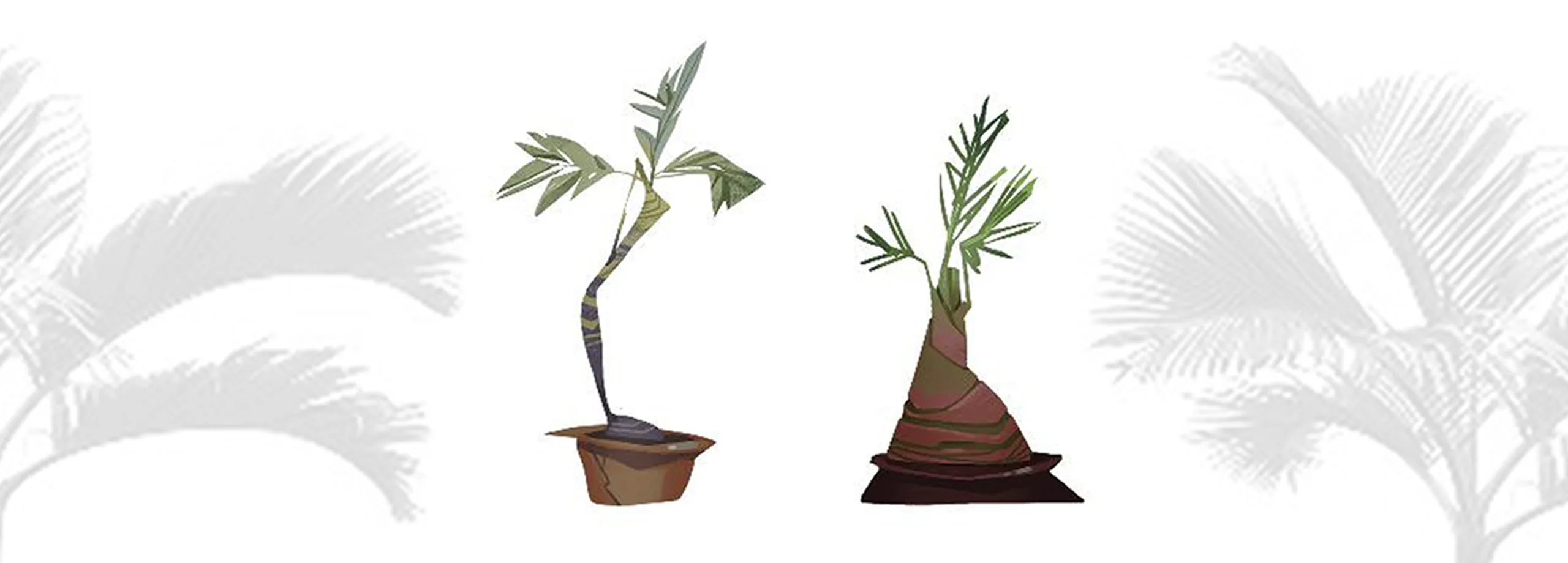 How to draw a palm tree — Step 4: Adding color and details