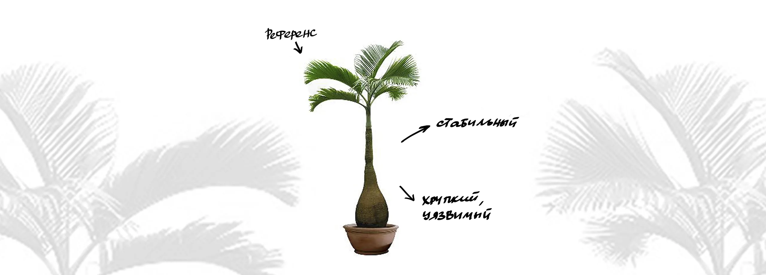 How to draw a palm tree — Step 2: Defining figurative characteristics