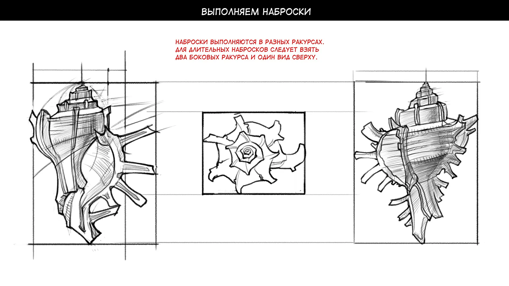 How to draw a shell — Step 3: Detailing the spiral