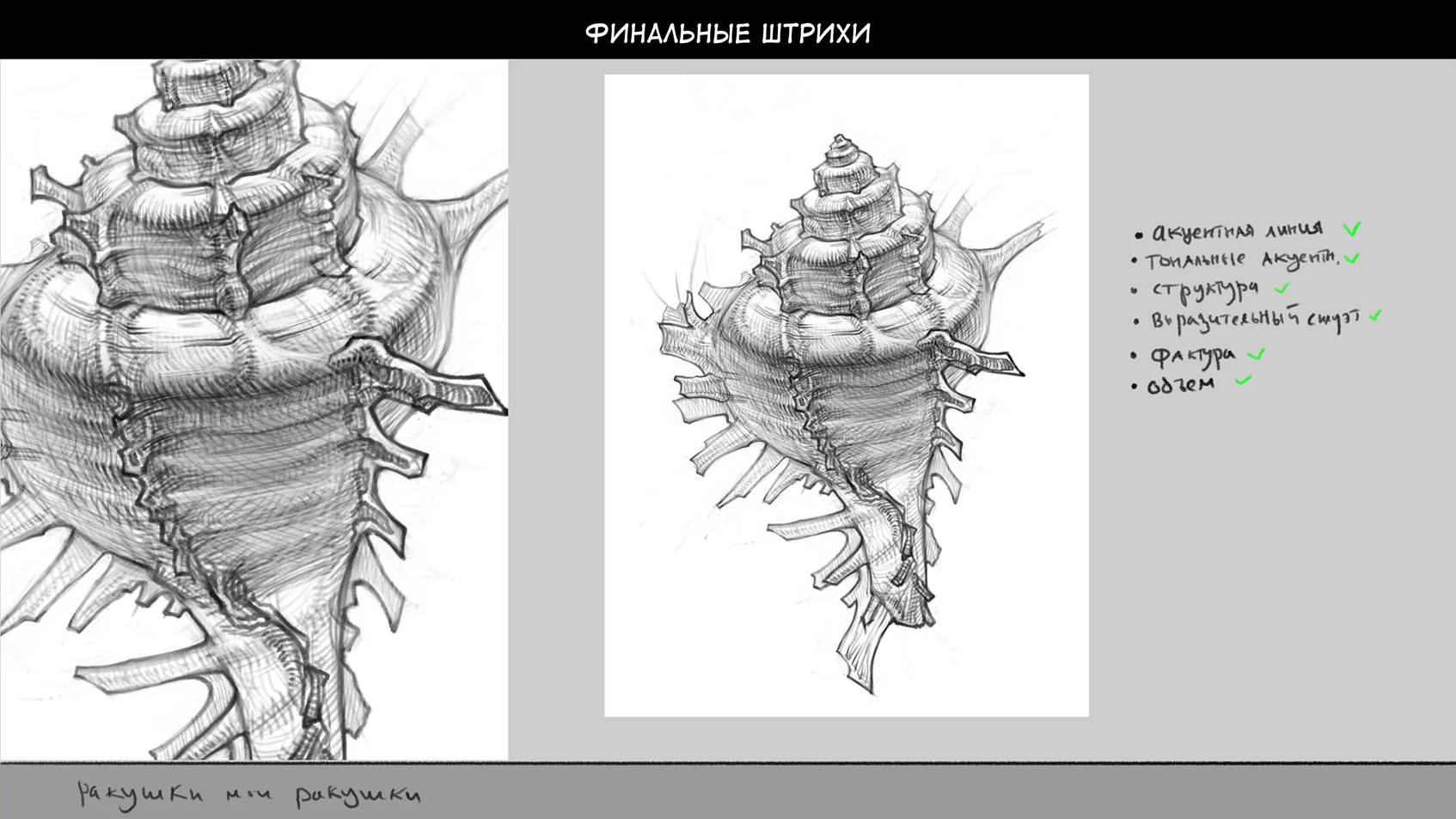 How to draw a shell — Step 7: Final touches and adjustments